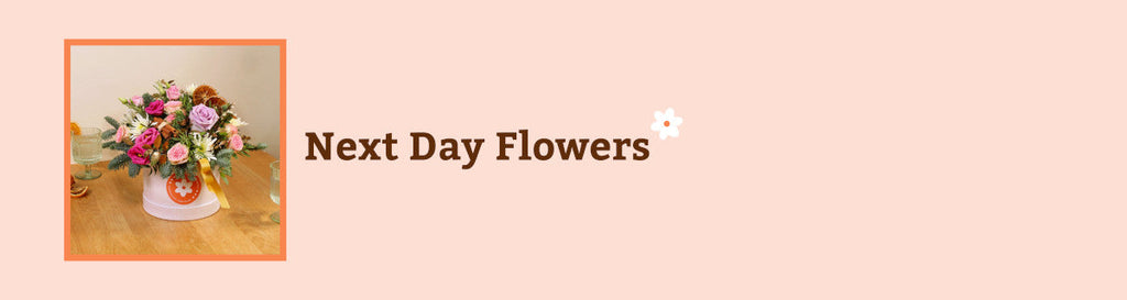 Next Day Flowers