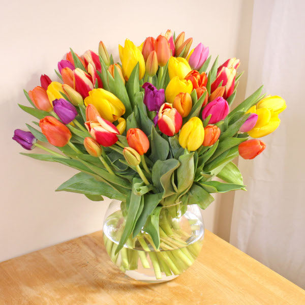 50 Mixed Tulips