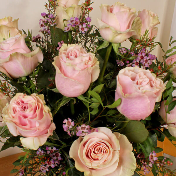 12 Pink Roses